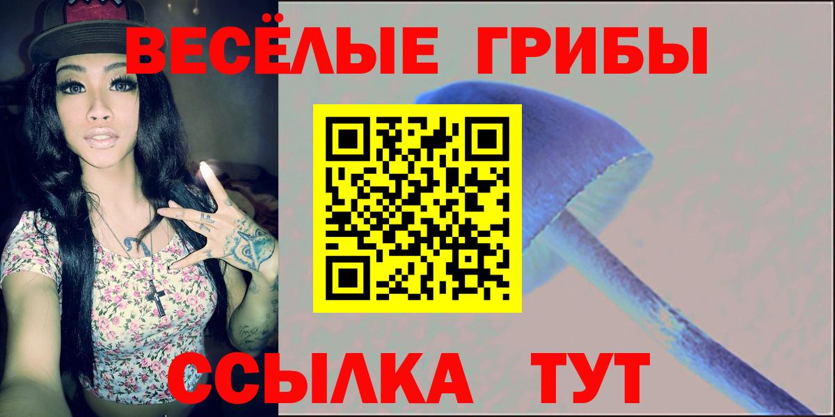 как найти закладки  Вход с VPN  Мытищи  Галлюциногенные грибы Magic Shrooms 