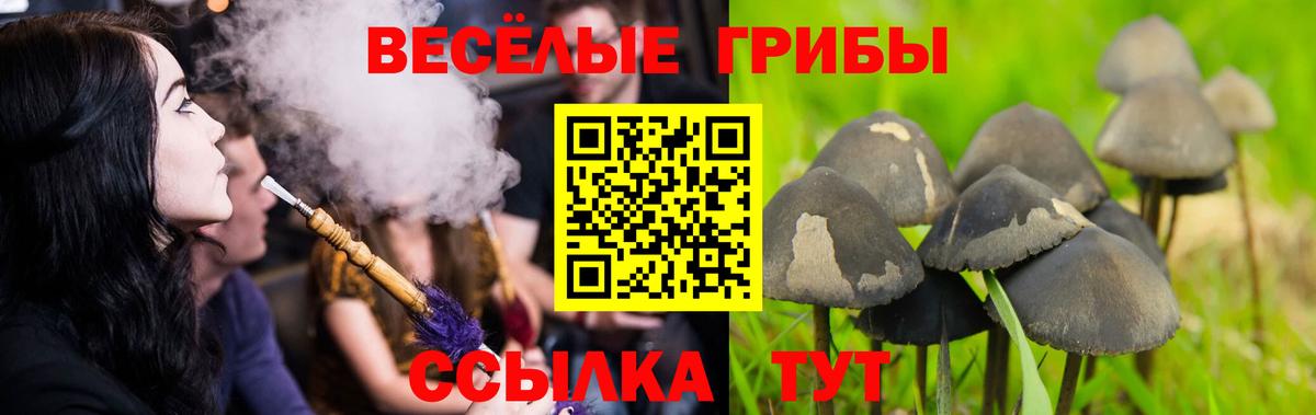 COCAIN  Вход с VPN  Купить наркотики  Меф кристаллы  Мытищи  Гашиш 